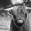 Schwarz-Weiß-Porträtfoto eines schottischen Highlanders von Pim Haring