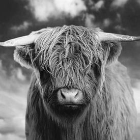 Portrait en noir et blanc d'un Highlander écossais sur Pim Haring