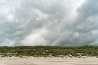 Dünen vom Strand aus | Hollands Glorie