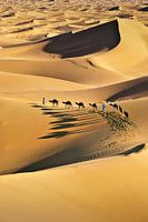 Wüste Sahara, Kamelkarawane und Kameltreiber