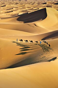 Wüste Sahara, Kamelkarawane und Kameltreiber