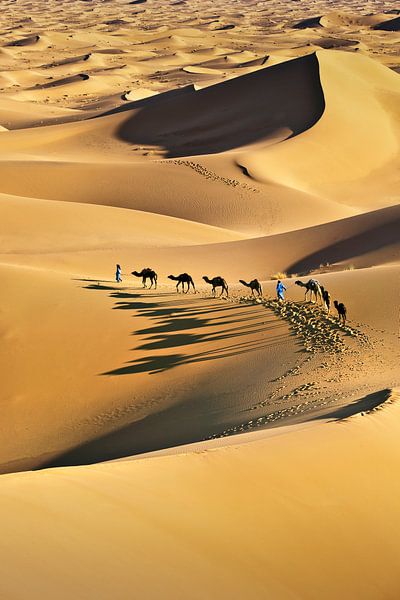 Désert du Sahara, caravane de chameaux et chameliers par Frans Lemmens