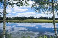 hollandse lucht van Fotografie John van der Veen thumbnail