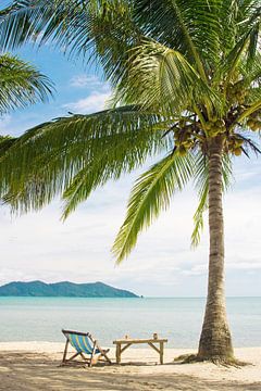 Ein Liegestuhl unter einer Palme an einem tropischen Strand von Melissa Peltenburg