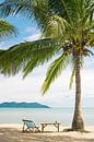 Ein Liegestuhl unter einer Palme an einem tropischen Strand von Melissa Peltenburg Miniaturansicht