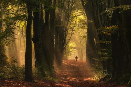 Mountainbiker fiets door de zonnestralen