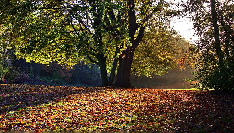 Panorama du parc par Edgar Schermaul