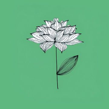 Witte bloem  in eenvoud