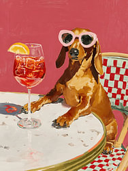 Dackel mit Cocktail