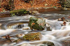 Autumn ambience by Karel Warburg