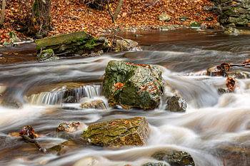 Autumn ambience