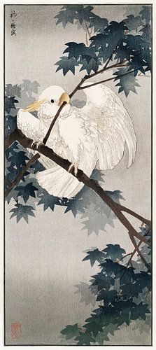 Yellow crested cockatoo in tree (1900 - 1940) by Ohara Koson