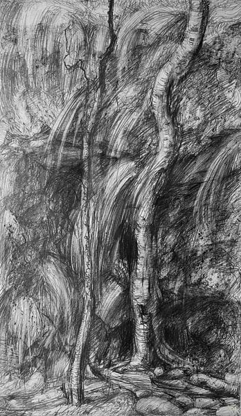 Schwarzwald und Weißwald von KB Prints
