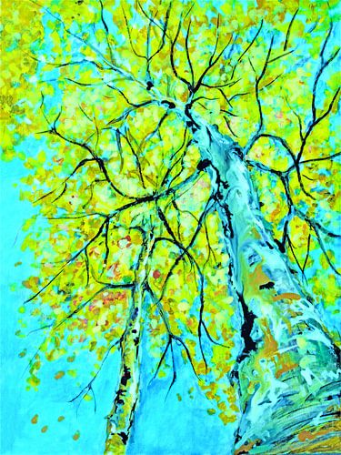 Bouleaux au printemps