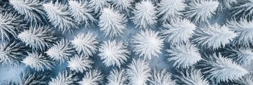 Motif de cristaux de glace