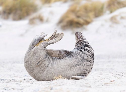 What a pose