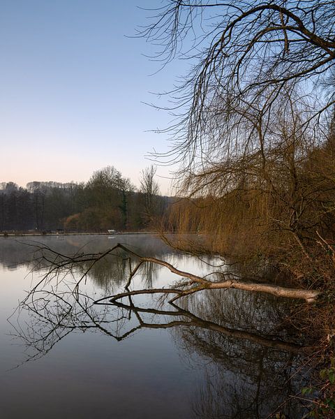 Visvijver, Bergisches Land, Duitsland van Alexander Ludwig