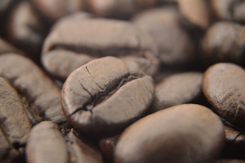 Grains de café par Dustin Musch