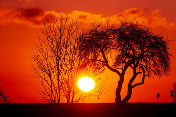 Sunrise in intense warn orange on a cold winter morning