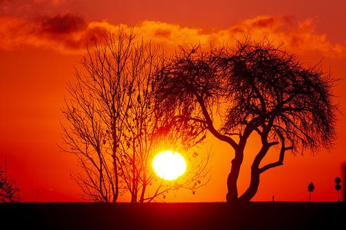 Zonsopgang in intens waarschuwend oranje op een koude winterochtend