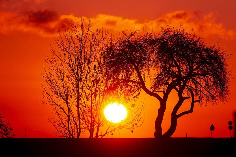 Lever de soleil en orange intense par un froid matin d'hiver par Claudia Schwabe