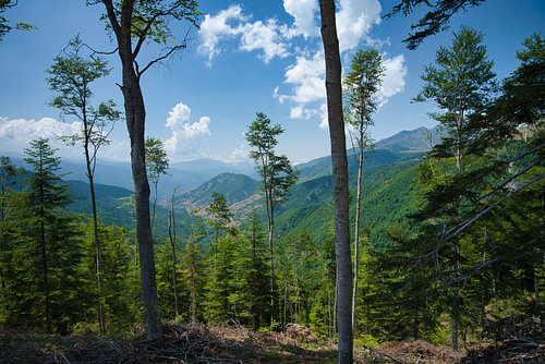 Durch die Wälder in die Berge
