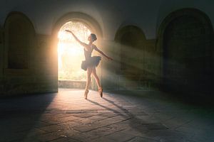 Magical light dance van Arjen Roos