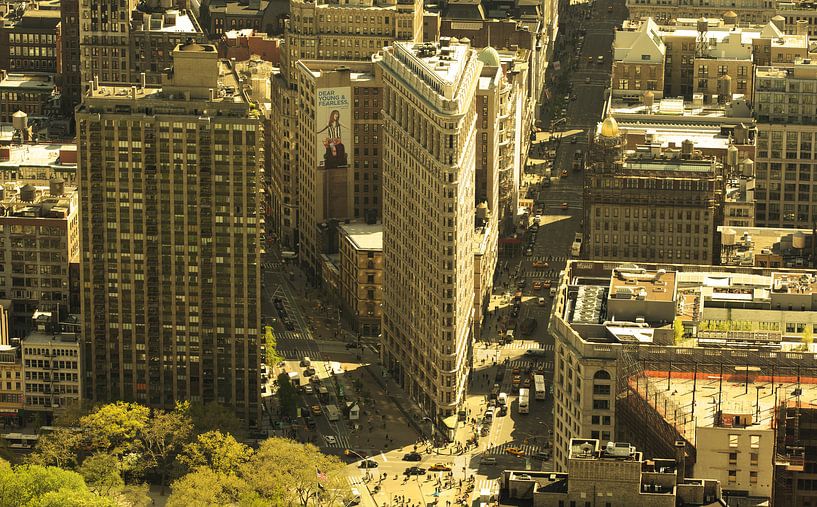 Flatiron Building ( New York City) van Marcel Kerdijk