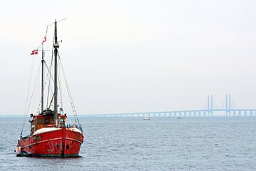 Öresund bridge Denmark by Erwin Reinders