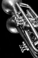 Old  Vintage Jazz Brass Trumpet Music Lover Black White Reflection
