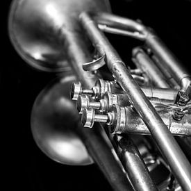 Old  Vintage Jazz Brass Trumpet Music Lover Black White Reflection by Andreea Eva Herczegh