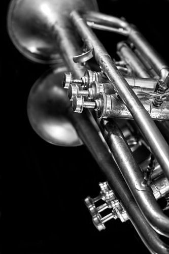 Alte Vintage Jazz Brass Trompete Musik Liebhaber Schwarz Weiß Reflexion von Andreea Eva Herczegh