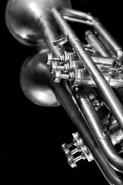 Old  Vintage Jazz Brass Trumpet Music Lover Black White Reflection by Andreea Eva Herczegh