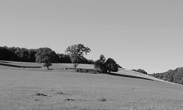 Limburgs landschap in zwart wit.