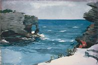 Winslow Homer-Rocky Shore, Bermuda von finemasterpiece Miniaturansicht