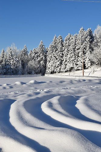 Le terrain des loisirs en hiver