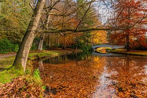 Rustige herfstdag in Paleispark Het Loo
