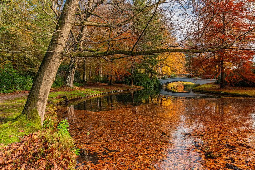 Quiet autumn day at Het Loo Palace Park by Jeroen de Jongh Photography
