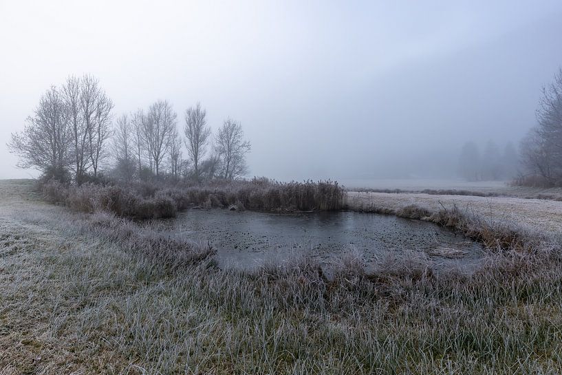 Mist in Farchant van Teresa Bauer