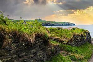 Falaises de la côte du Pembrokeshire en Angleterre sur Anouschka Hendriks