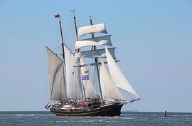 Gulden Leeuw by Rodney Pauwels