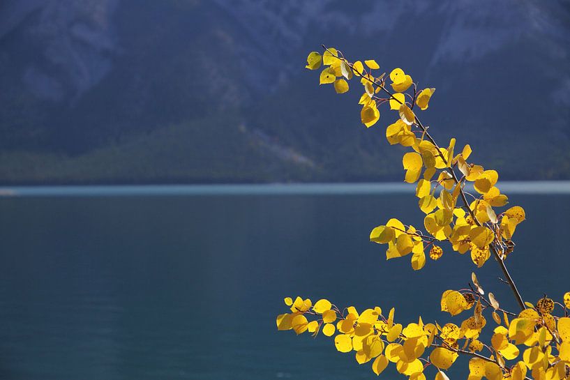 yellow par Veronie Hulleman