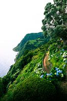 Ponta do Sossego