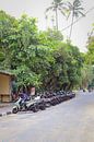 Scooters in Bali by Cre8yourstory thumbnail