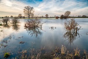 Flussreflexion