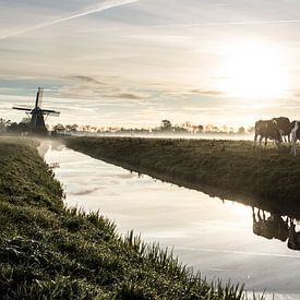 Typisch hollands van Cornelis Bezema