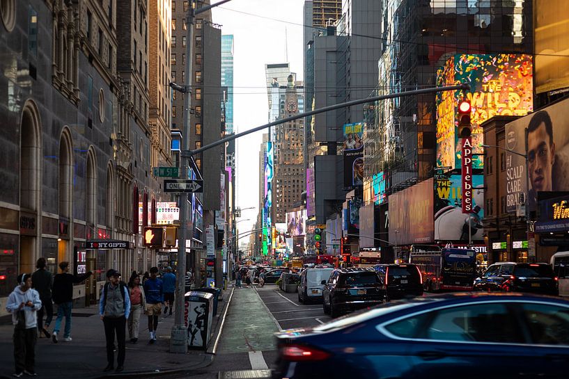 Times Square New York City 2024. von Bart van der Heijden