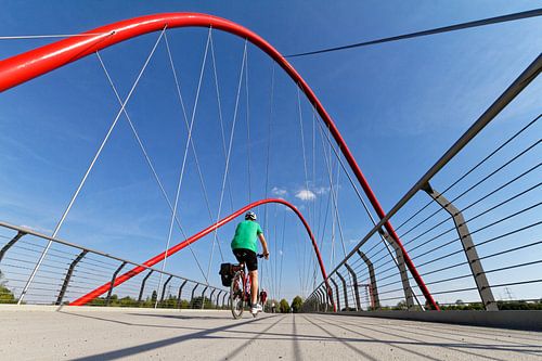 Doppelbogenbrücke im Nordsternpark Gelsenkirchen (7-16283)