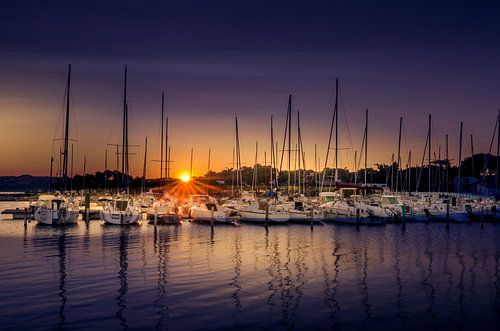 Sunset harbour