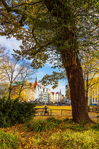 View across Universitätsplatz towards Kröpeliner Straße i